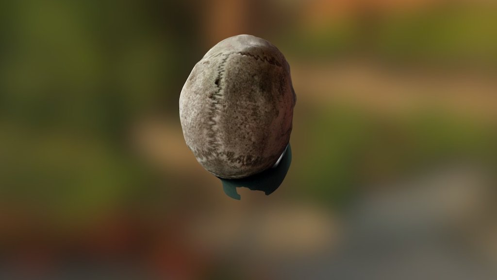 A TRNIO Model