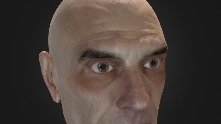 Photo-realistic head study 3D Model