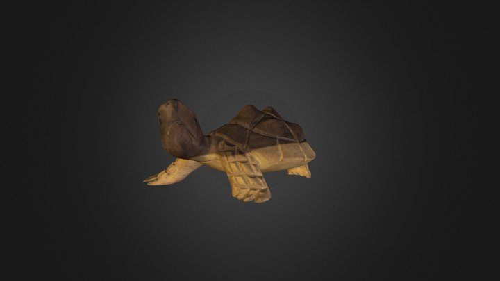 Turtle 3D Model