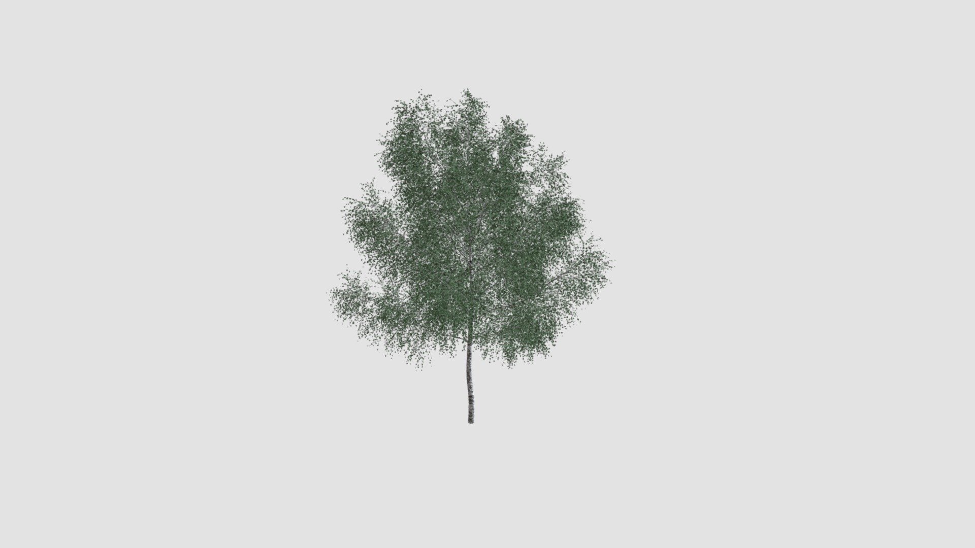 tree - Buy Royalty Free 3D model by Evermotion [2967307] - Sketchfab Store
