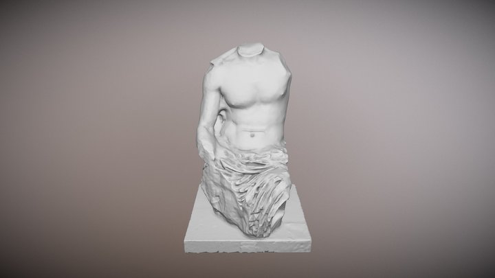Torso virile 3D Model