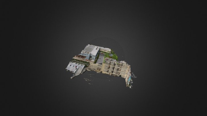 Lot next to Bamboo 3D Model