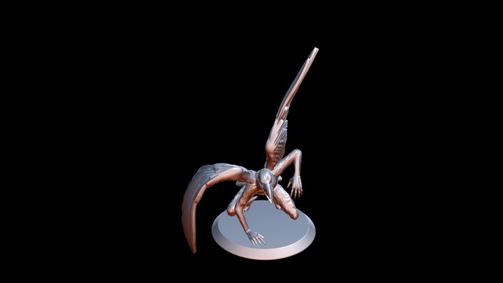 Crow 3D Model