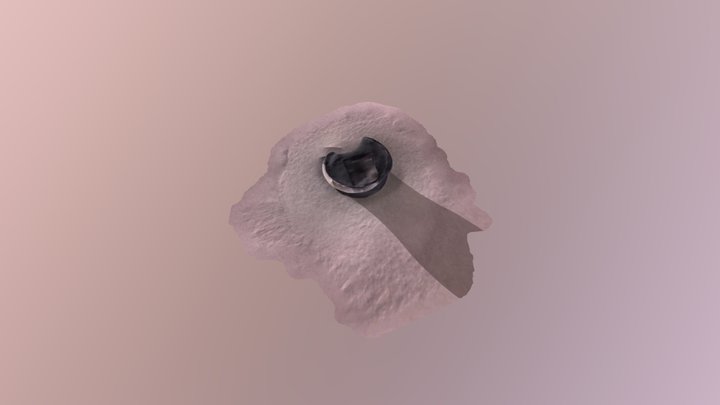 3D scan 2 3D Model