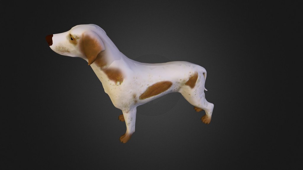 Canines - A 3D model collection by Sludgey - Sketchfab