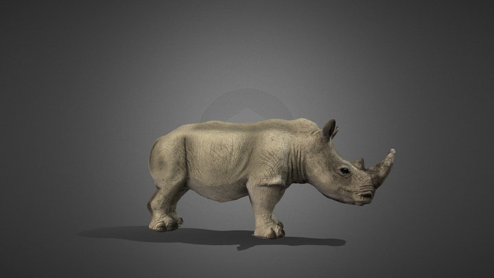 Rhino