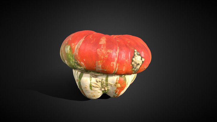 High-Poly Turban Squash Photogrammetry 3D Model