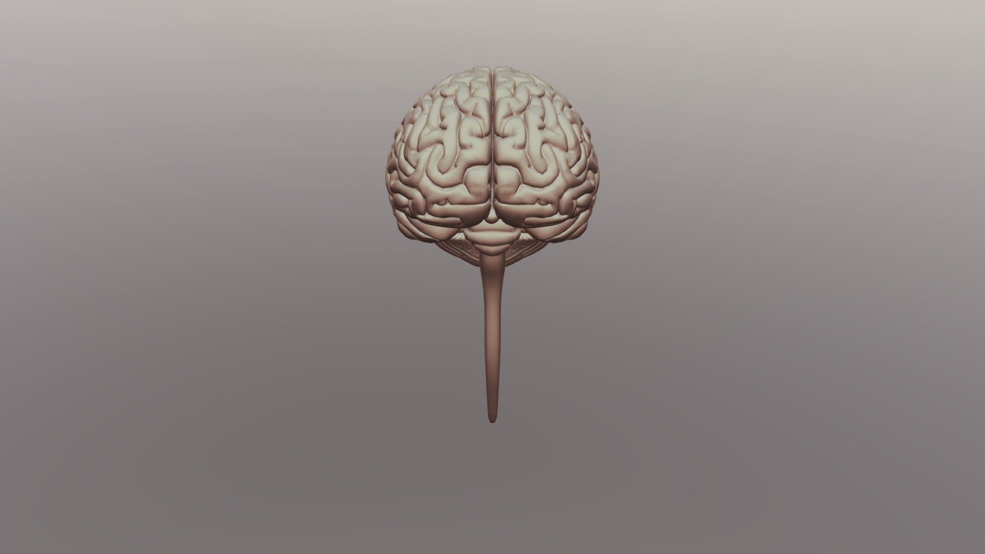 Exploded Brain 13 - Download Free 3D model by start2tech21 (@AndrewPom ...
