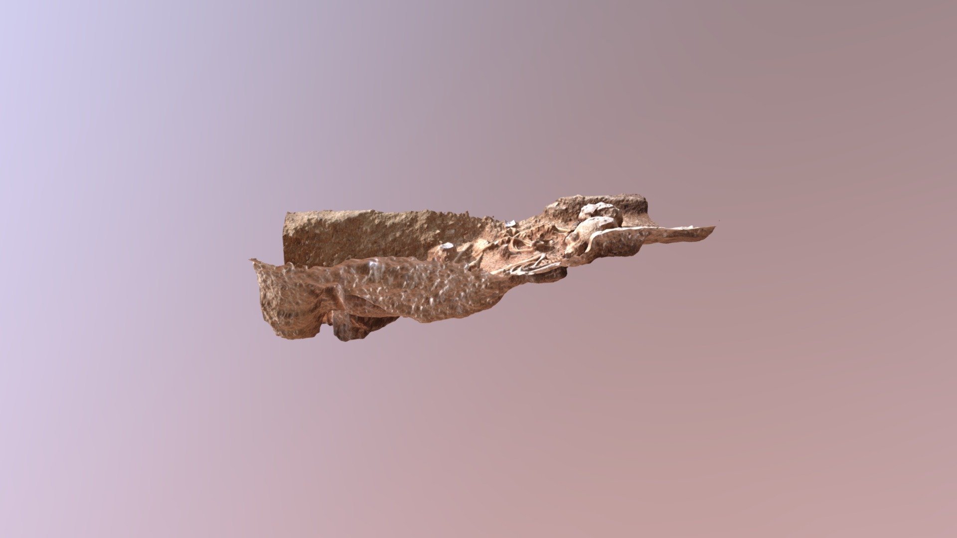 model