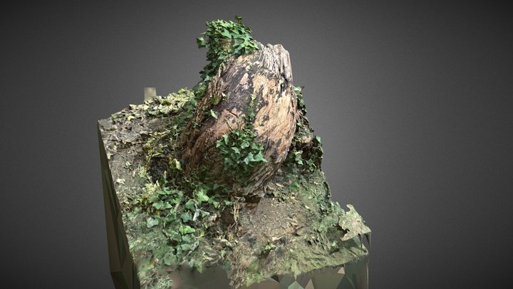 Old Overgrown Tree Trunk 3D Model