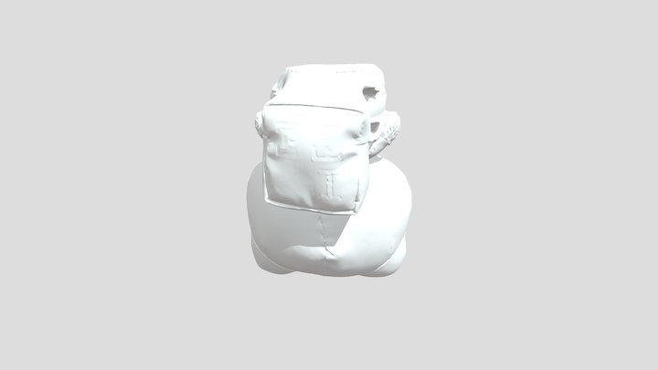 Scan 3D Model
