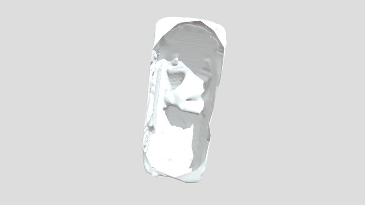 magiscan_2024-08-15_11-13 3D Model