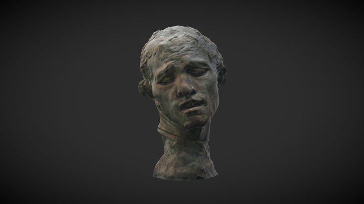 Head Of Pierre De Wissant (Burghers of Calais) 3D Model