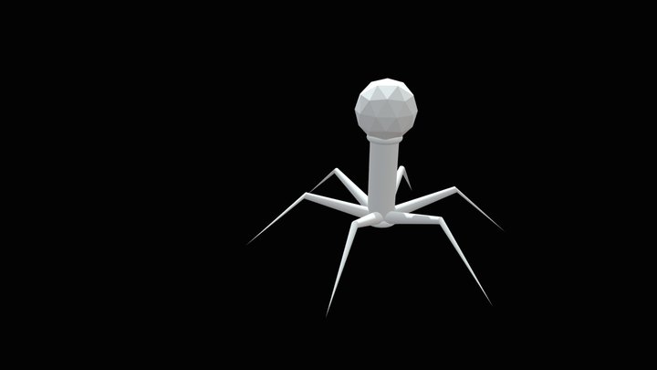 Corona Virus 3D Model