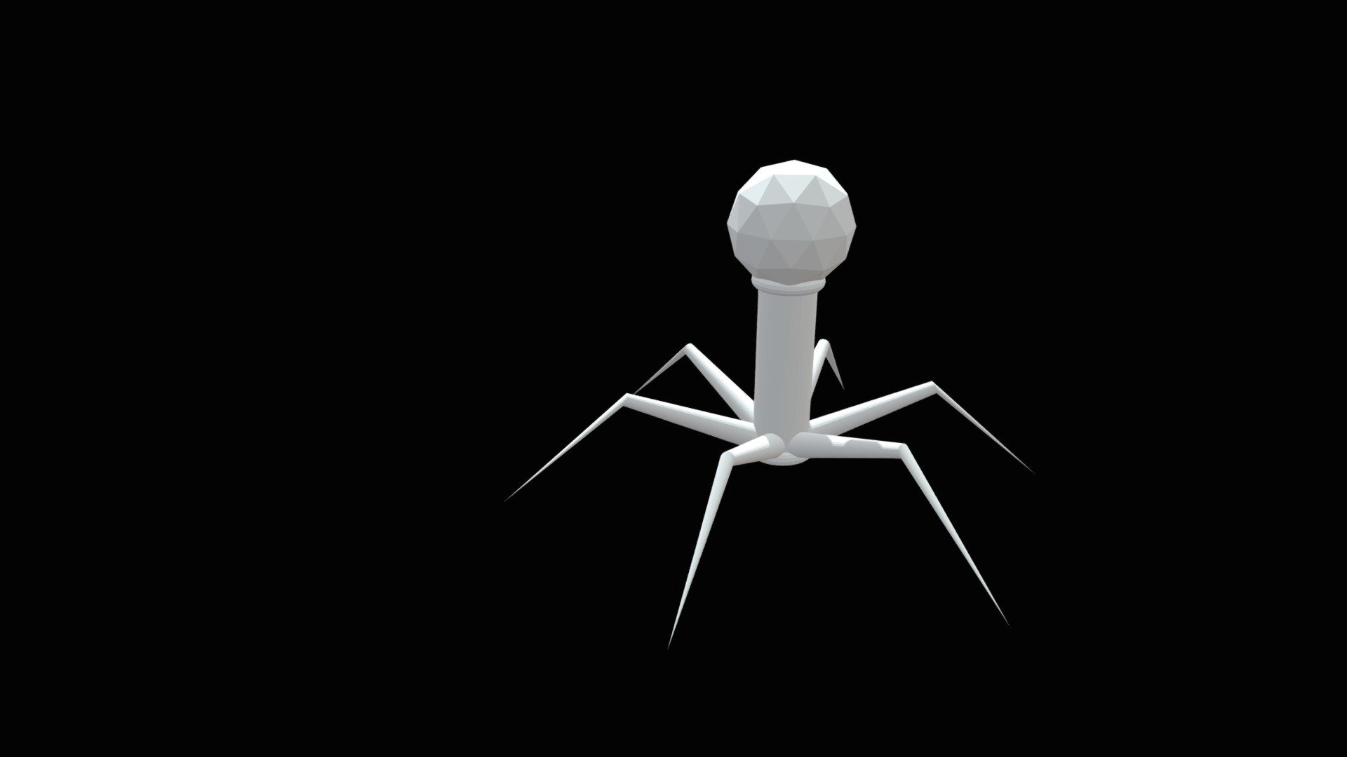 Corona Virus