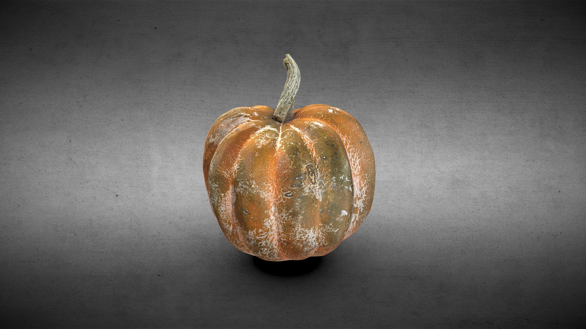 Pumpkin _ Polycam IOS app
