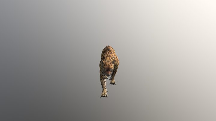Leopard001-walk01 3D Model