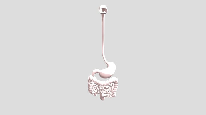 Untitled1 3D Model