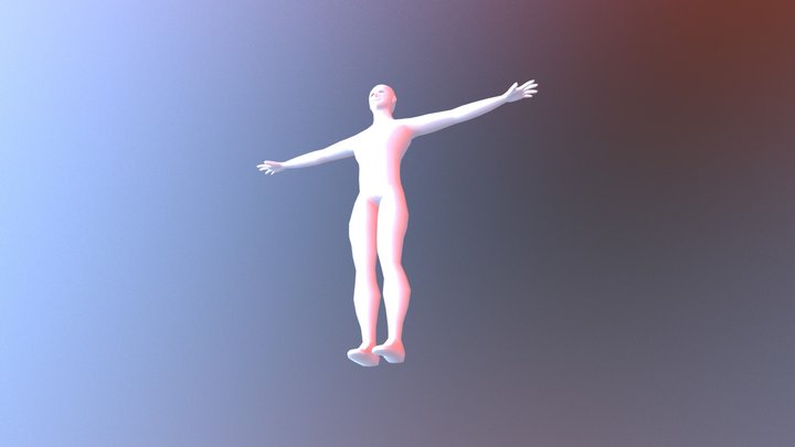 Cuerpo con cabeza y manos 3D Model