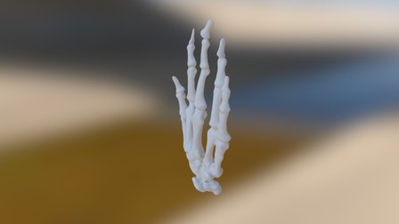 UWF1 Right Hand 3D Model