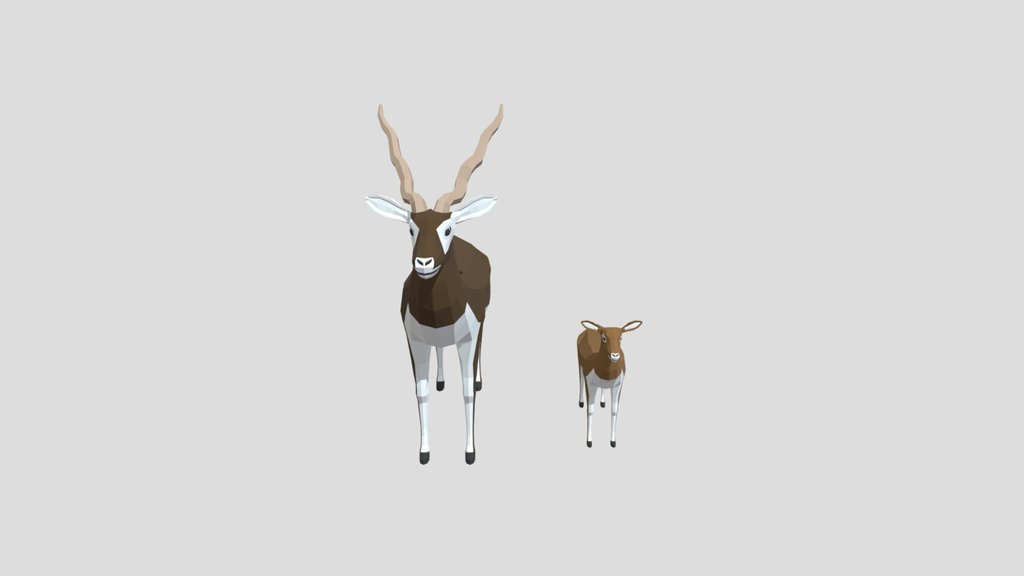 Low Poly Blackbuck And Calf