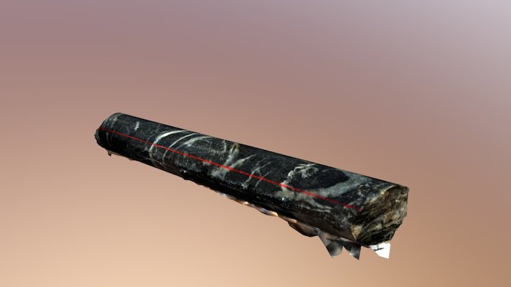 RickCoreJPG 3D Model