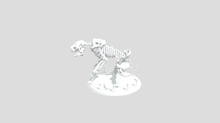 3d dinosaur skeleton 3D Model