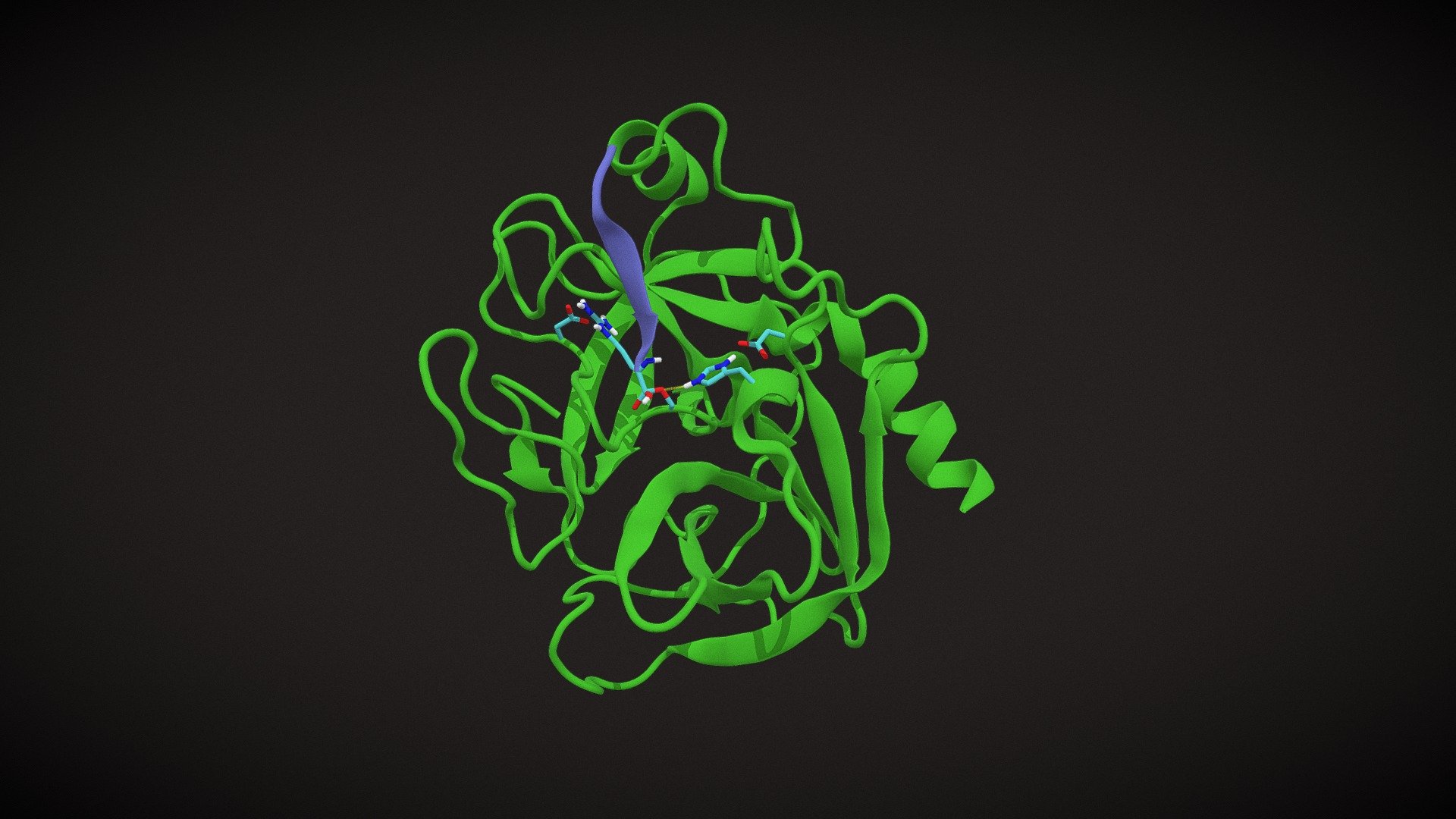 serine protease rxn4