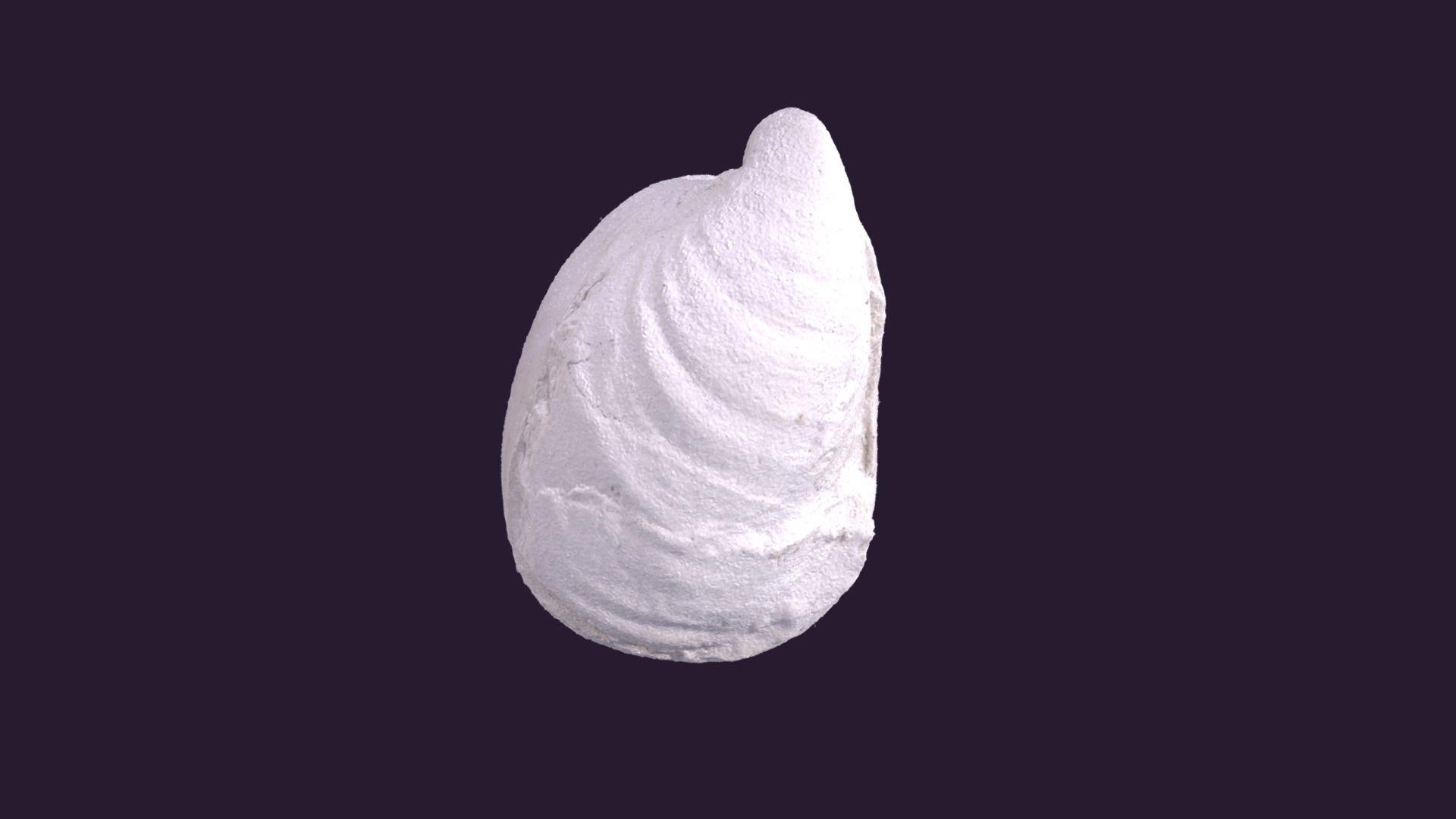 3D model Inoceramus tenuiumbonatus 414 Holotype - This is a 3D model of the Inoceramus tenuiumbonatus 414 Holotype. The 3D model is about a close-up of the moon.