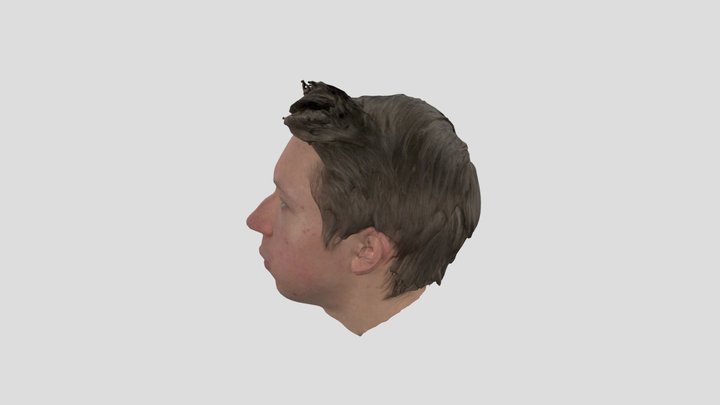 Head Cleaned up 3D Model