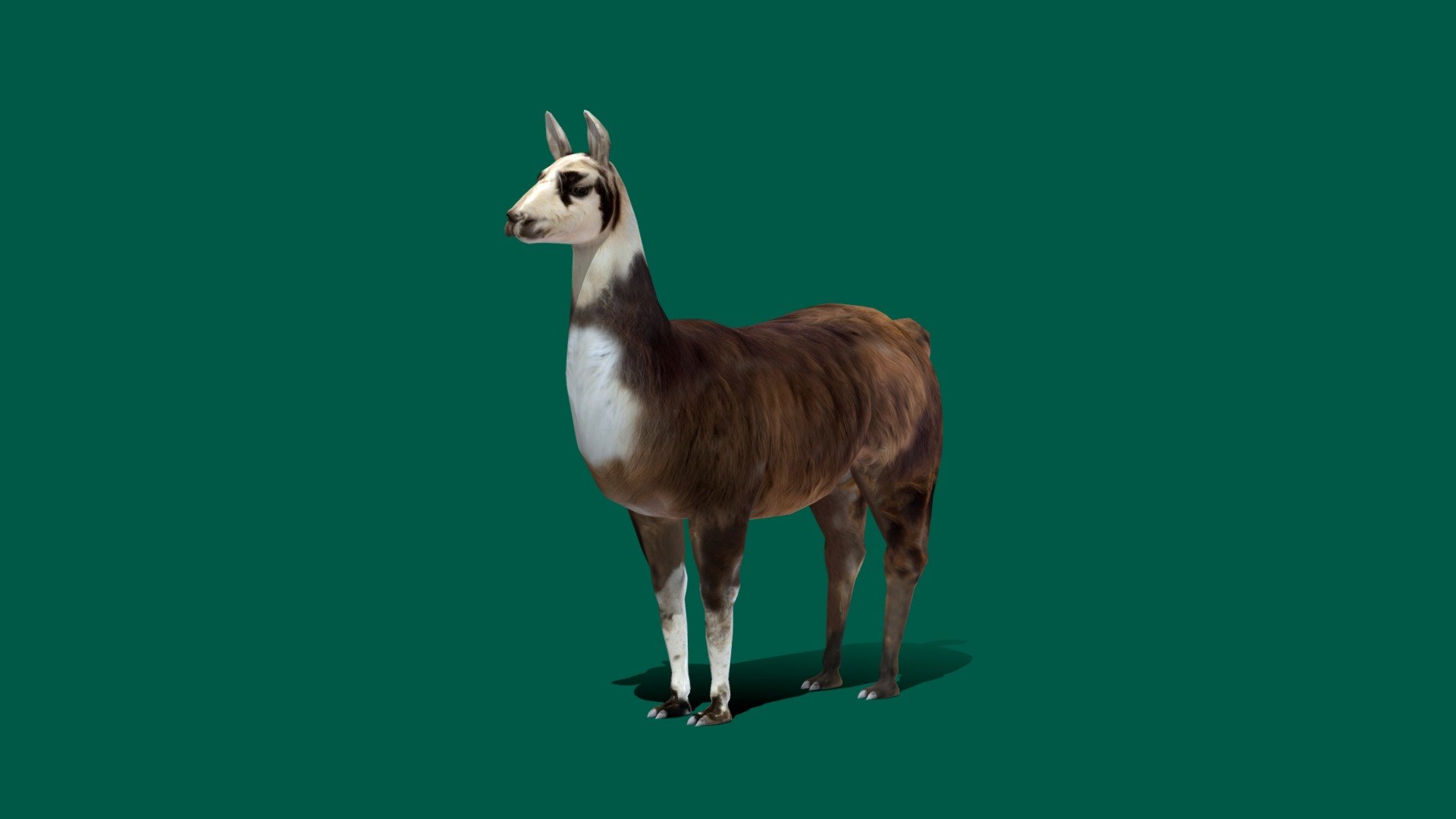 Llama (Lowpoly) — Sketchfab embed 3D viewer