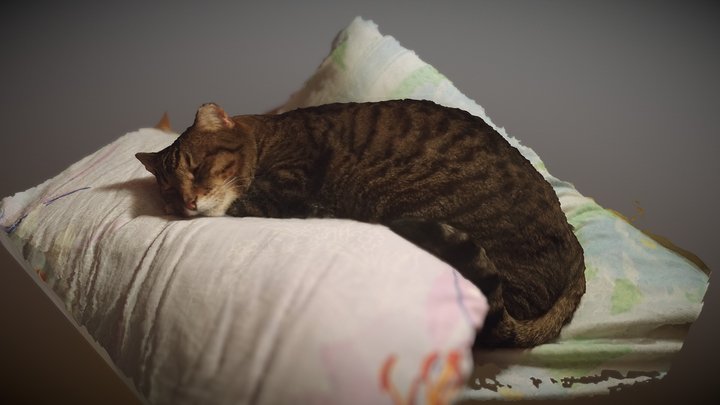 Cat (Take 2) – Gratis 3D-model STL