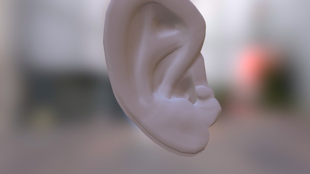 My ear_ assignment 19 - 3D model by Ariel Weir (@digitalmermaid ...
