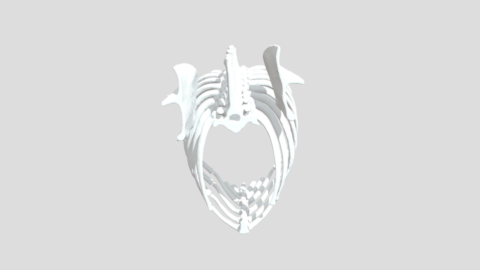 Normal: Skeleton