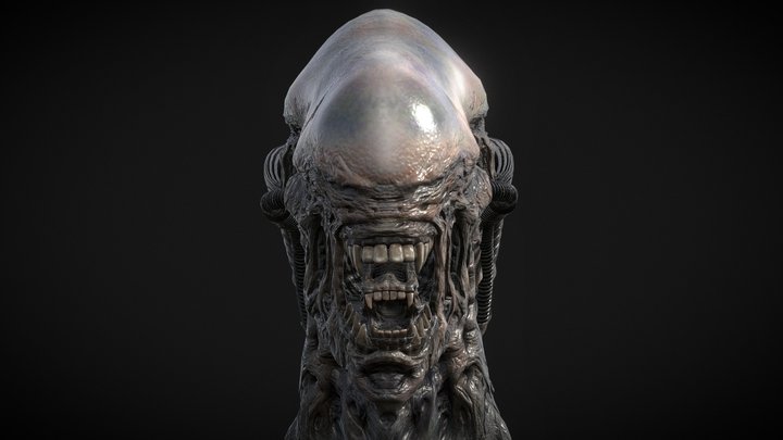 Xenomorph Head 3D Model