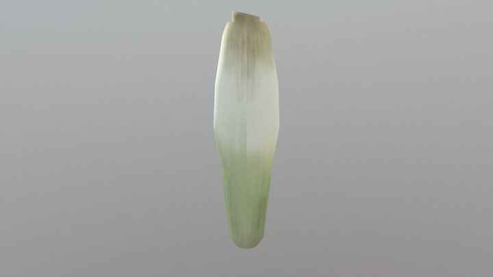 Leek 3D Model