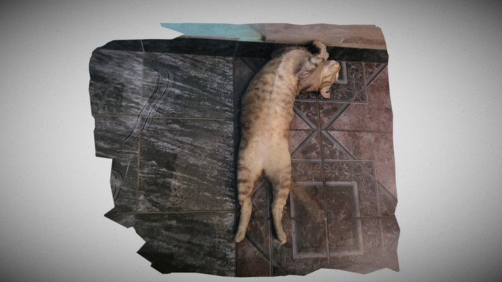 Gatita 3D Model