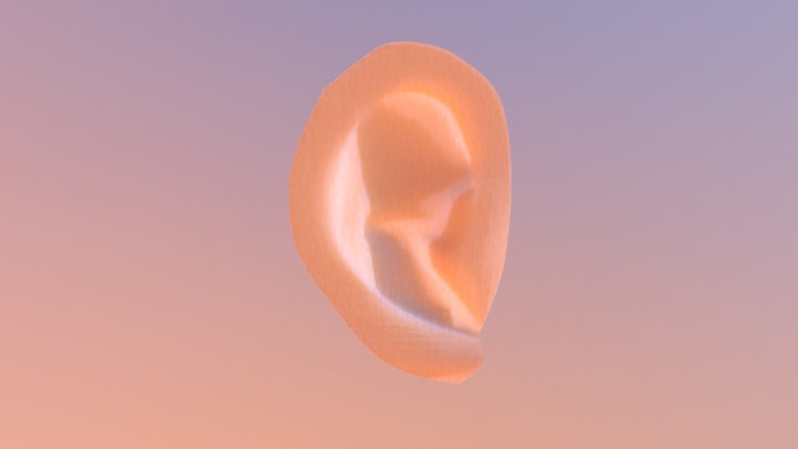Ear 3D Model