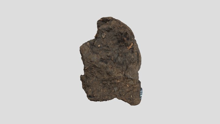 unknown sedimentary rock – Modello 3D gratuito STL