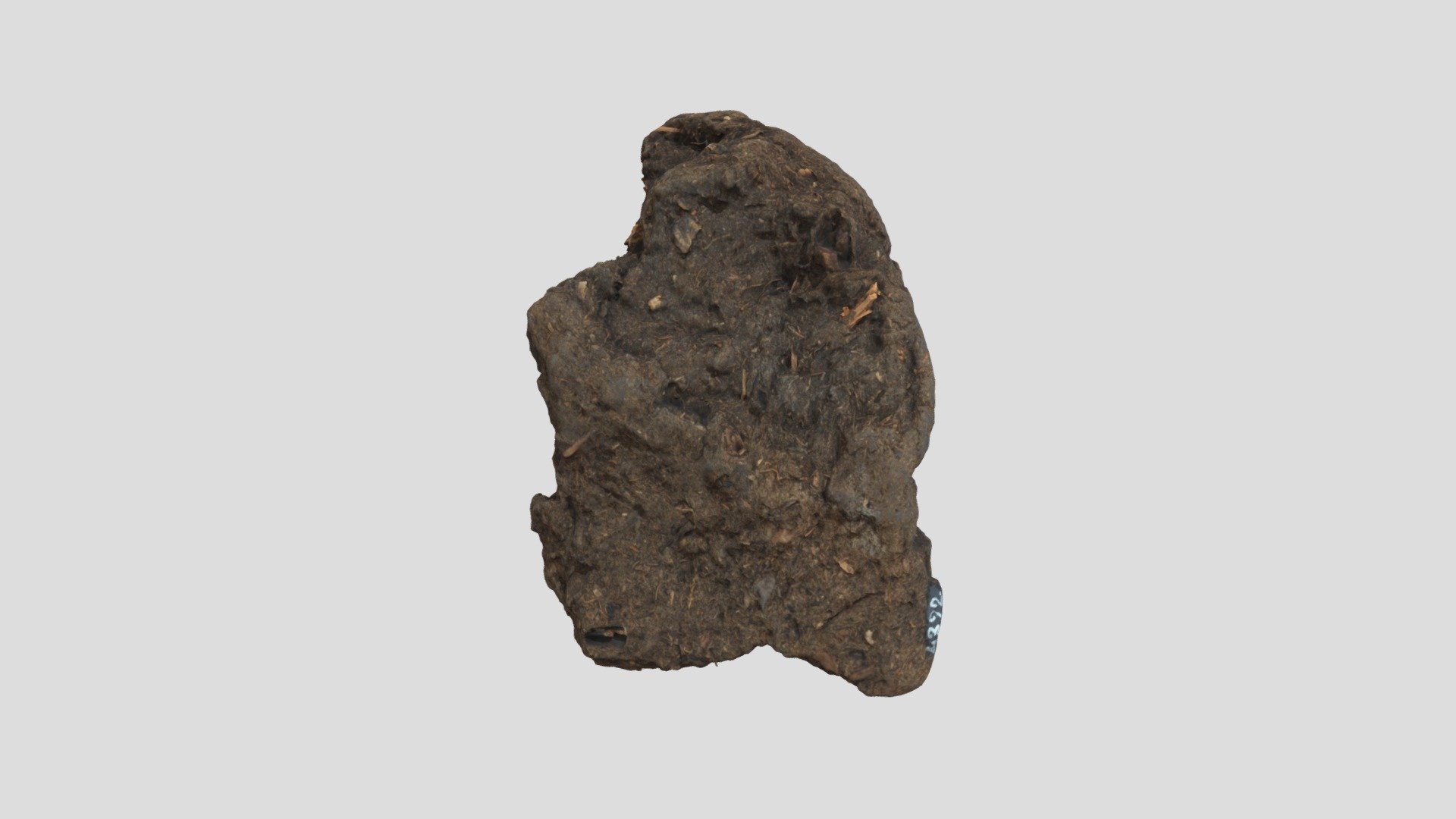unknown sedimentary rock