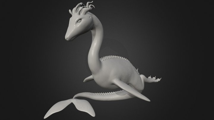 Sea Mammal 3D Model
