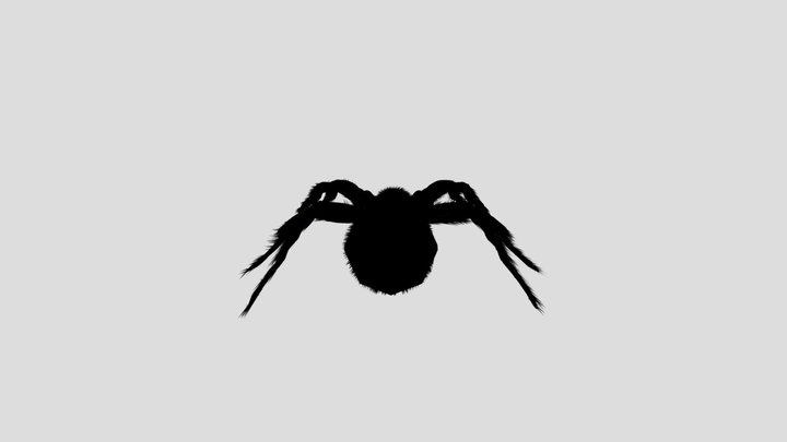 Aranha 3D Model