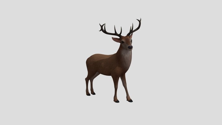 deer 3D Model