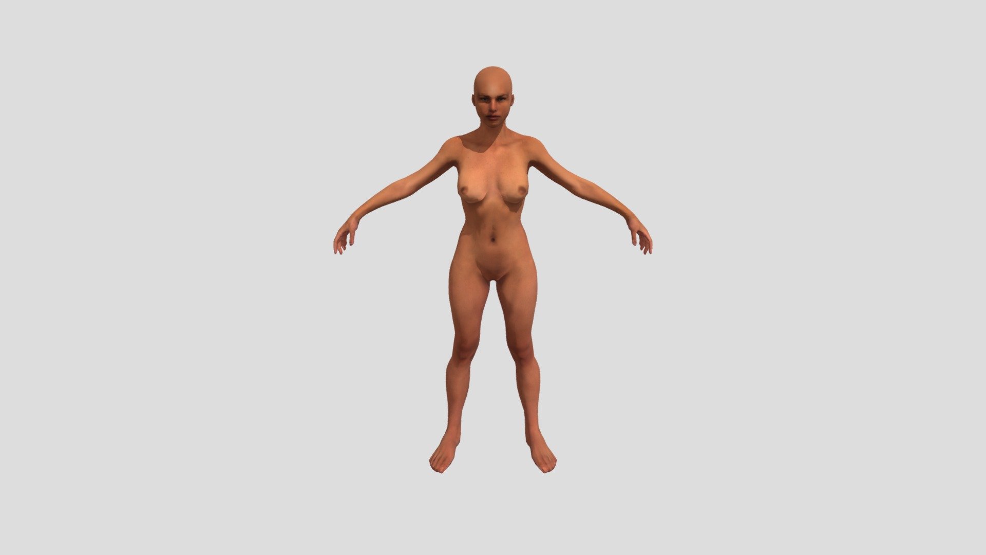 anatomy