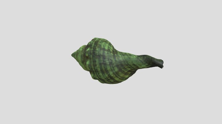 Shell