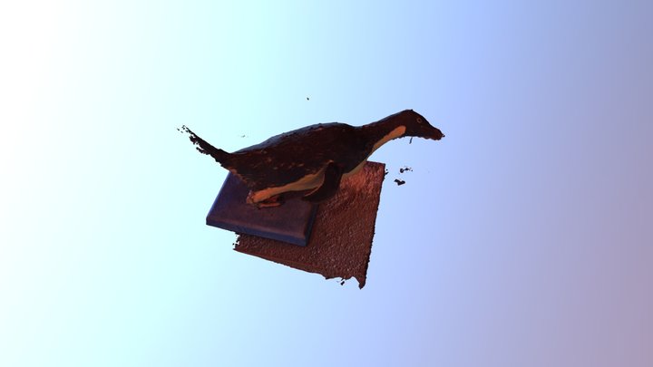 Penguin5 3D Model