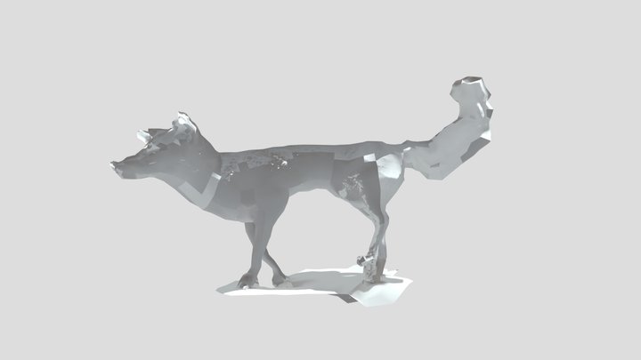 Zorro Gris (Urocyon cinereoargenteus) 3D Model