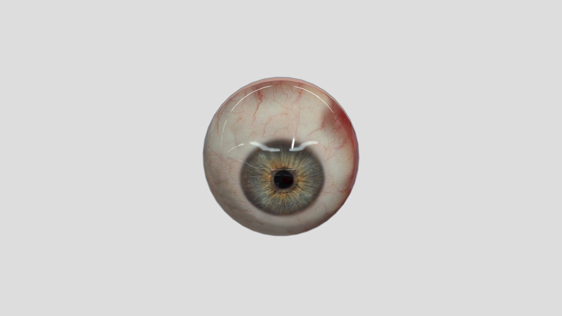 Realistic Human Eye - Download Free 3D model by eyn44.f [29bd560 ...