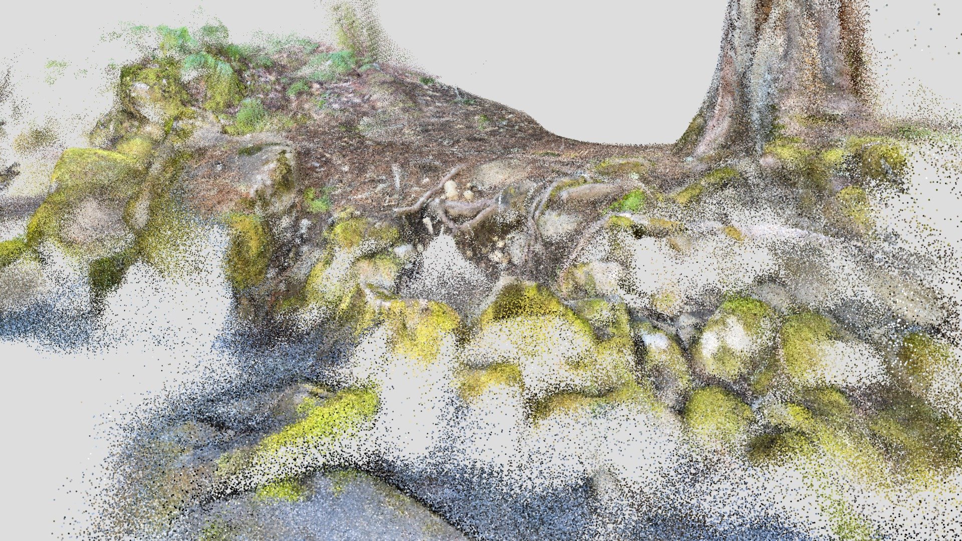 Marion Forks4-Lidar Scan
