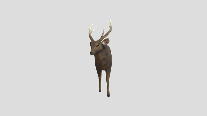 SEAP Samba Deer 3D Model